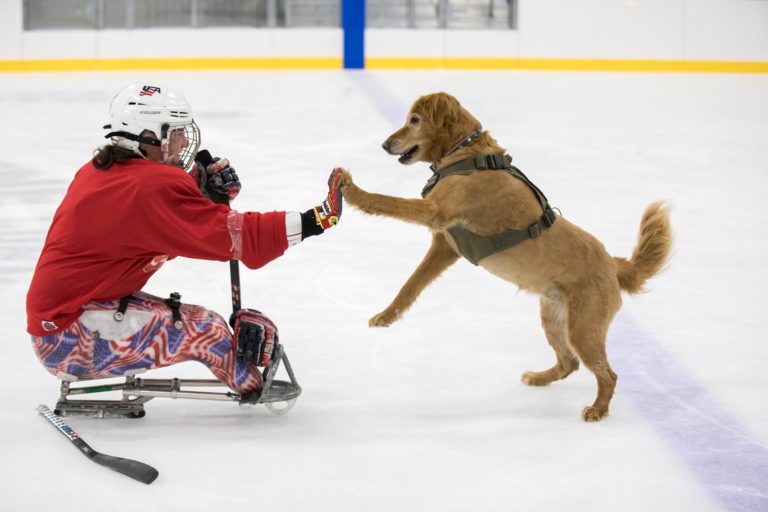 President Christy Gardner with working dog on ice