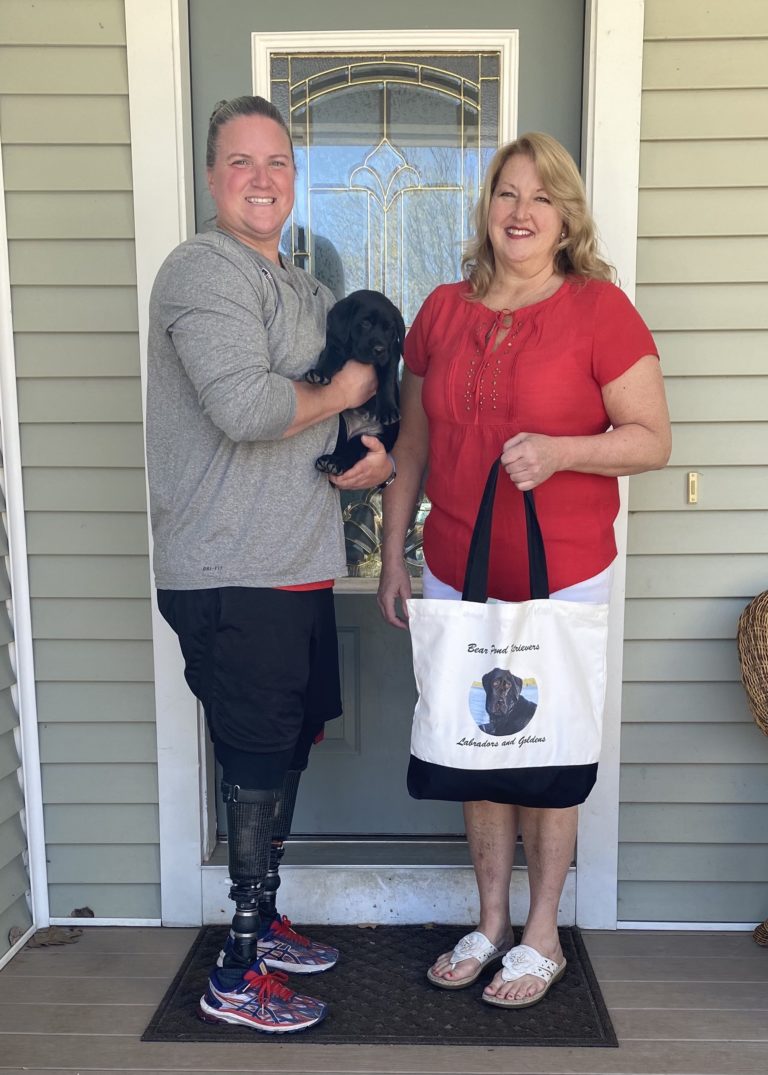 Bear Pond Retrievers with Service Dog in training Indy