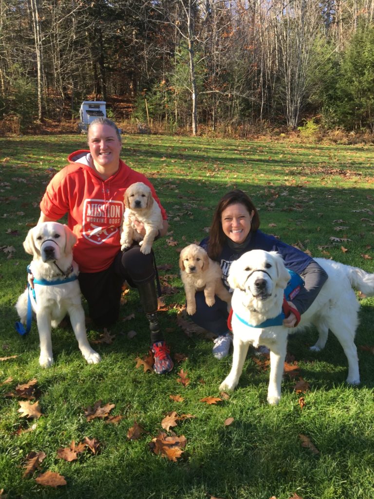Maine Line Golden Retrievers with Service Dogs in training Ranger, Hope, Sergeant, and Belle.