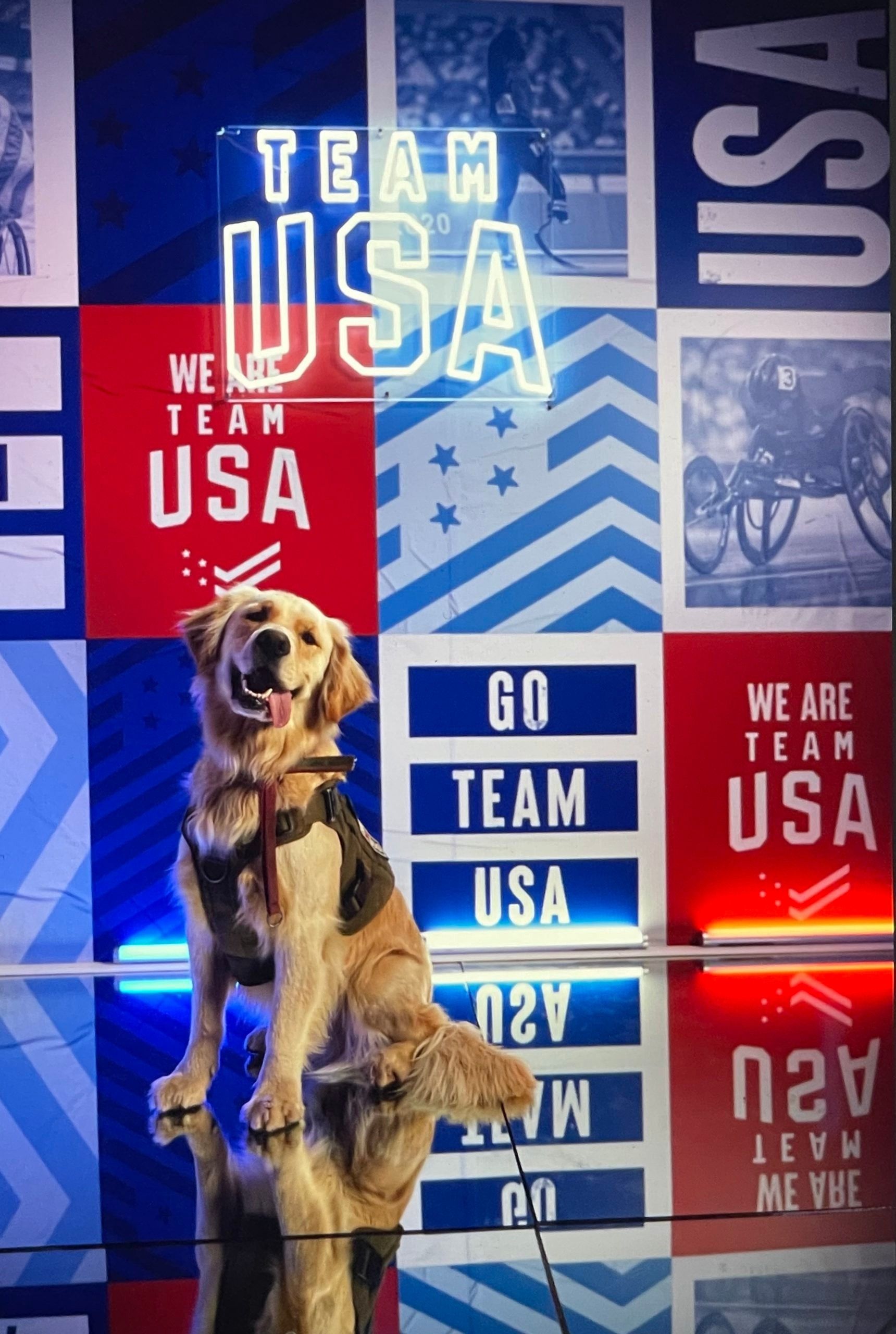 Doug Team USA