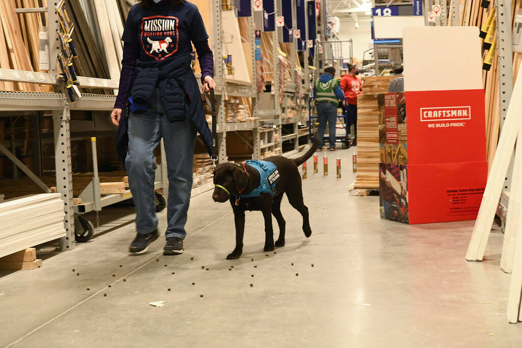Volunteer Training In Store